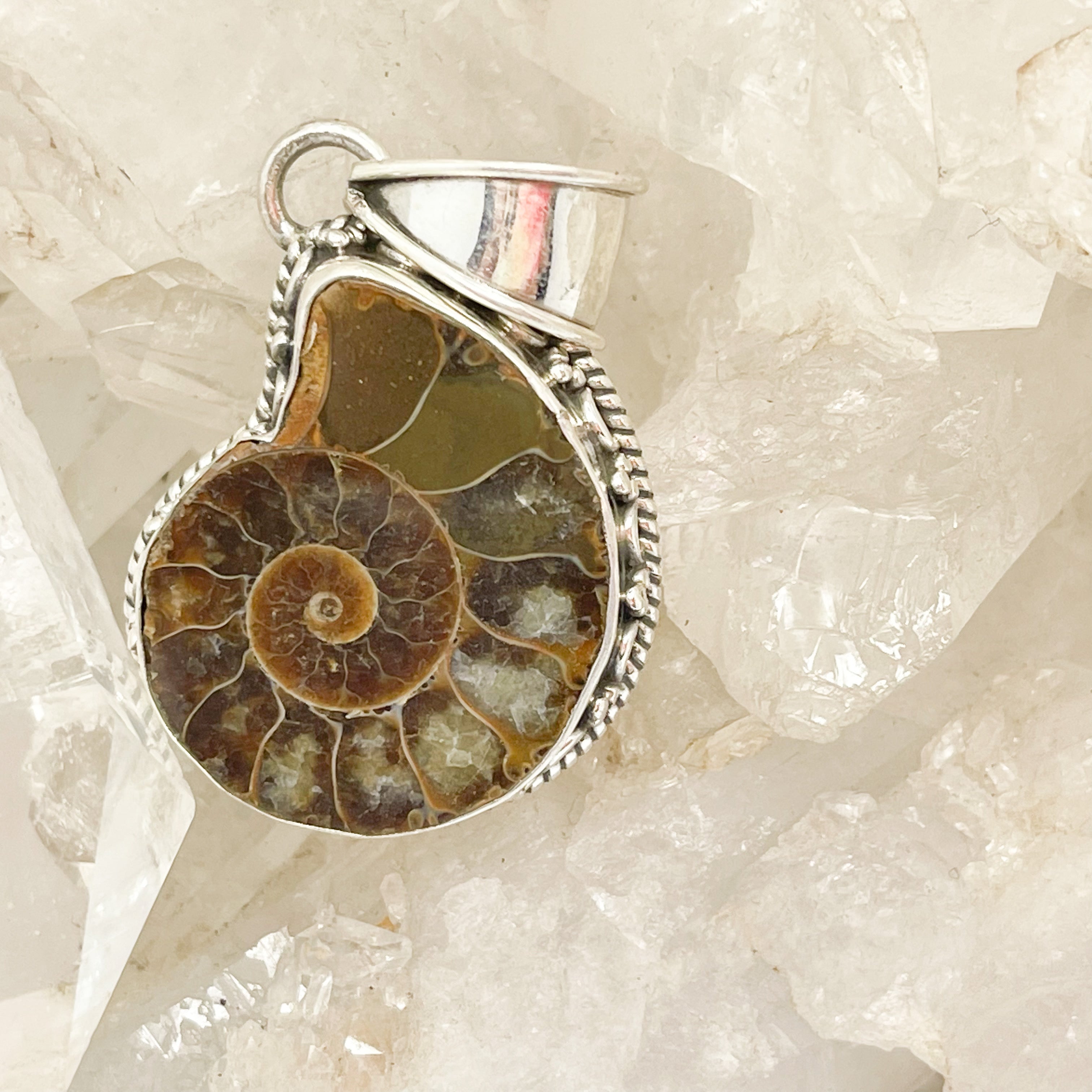 Ammonite pendant hot sale